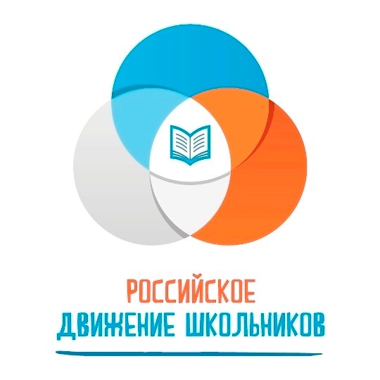 Пилотная школа РДШ