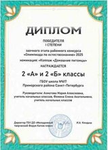 Олимпиада по естествознанию