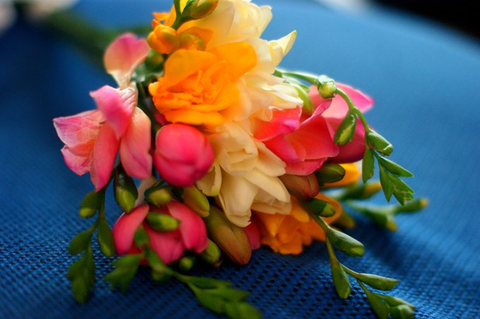 День учителя - 2014