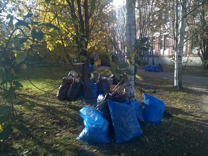 Субботник 18.10.2014
