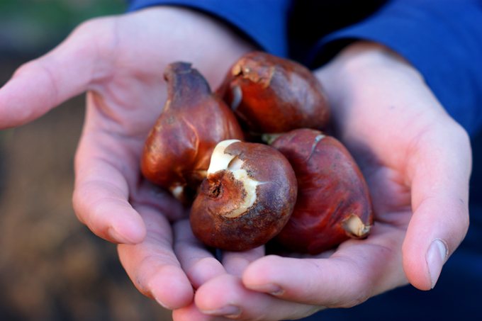 Субботник 18.10.2014